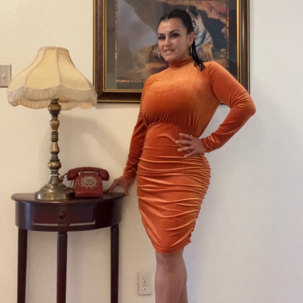 SHEIN BAE Mock Neck Ruched Velvet Bodycon Dress PREOWNED